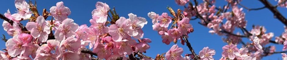 Hiroほっとブログ